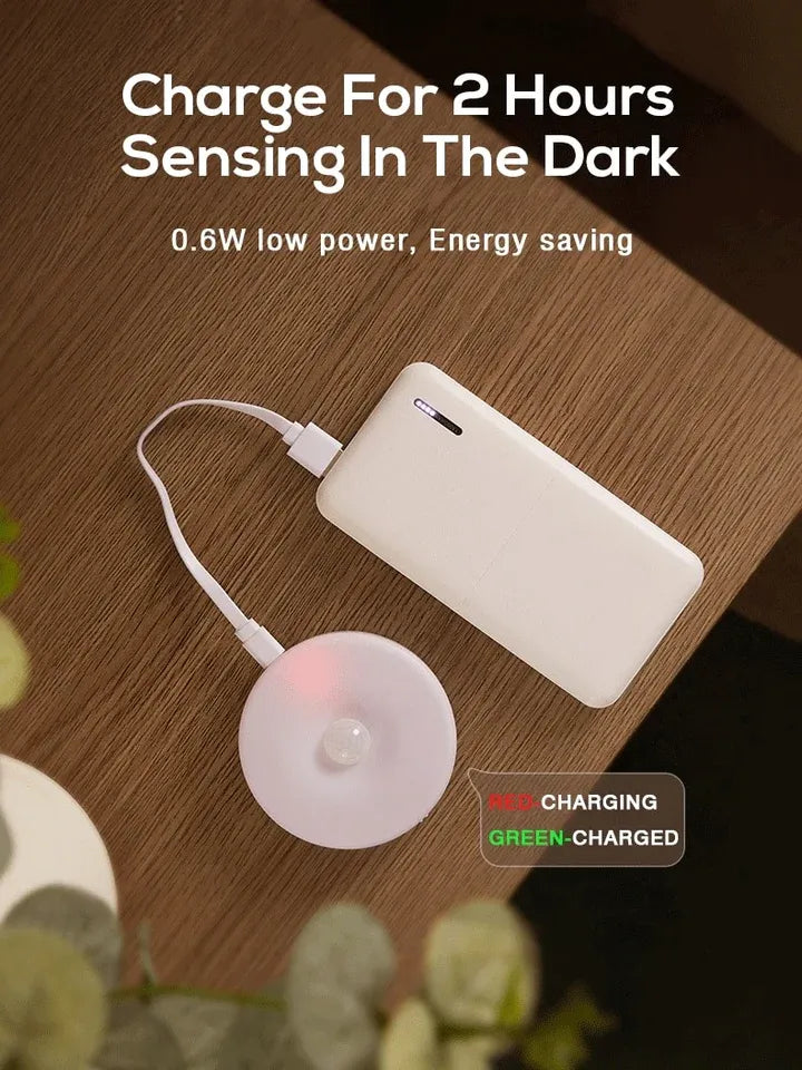 Motion Sensor Light for Home