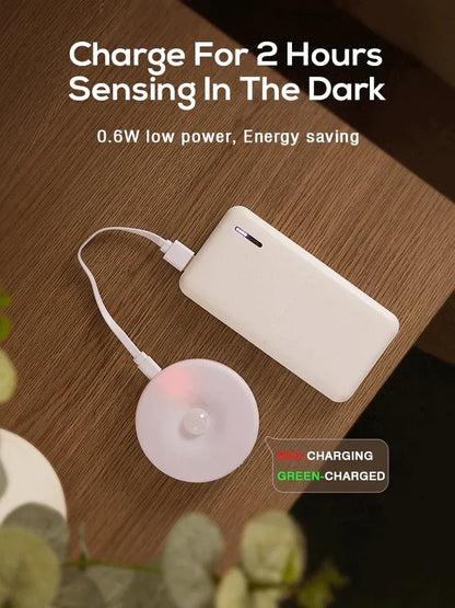 Motion Sensor Light for Home